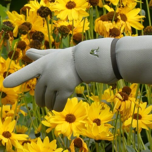 einzelner Handschuh in der Blumenwiese, Finger zeigt auf Blüte